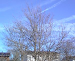 Bathed in the sun's rays