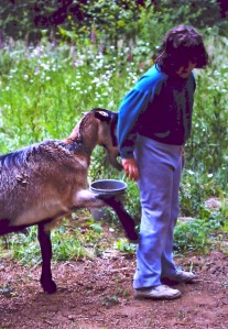 Darla and Mr. Goatley